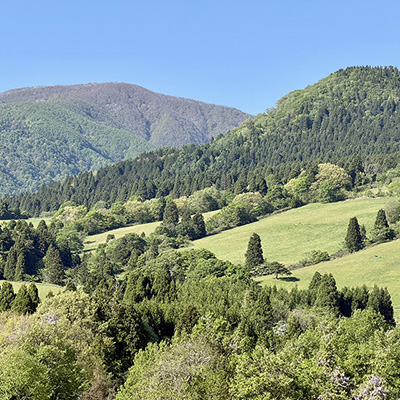 Rokuroshi Highland